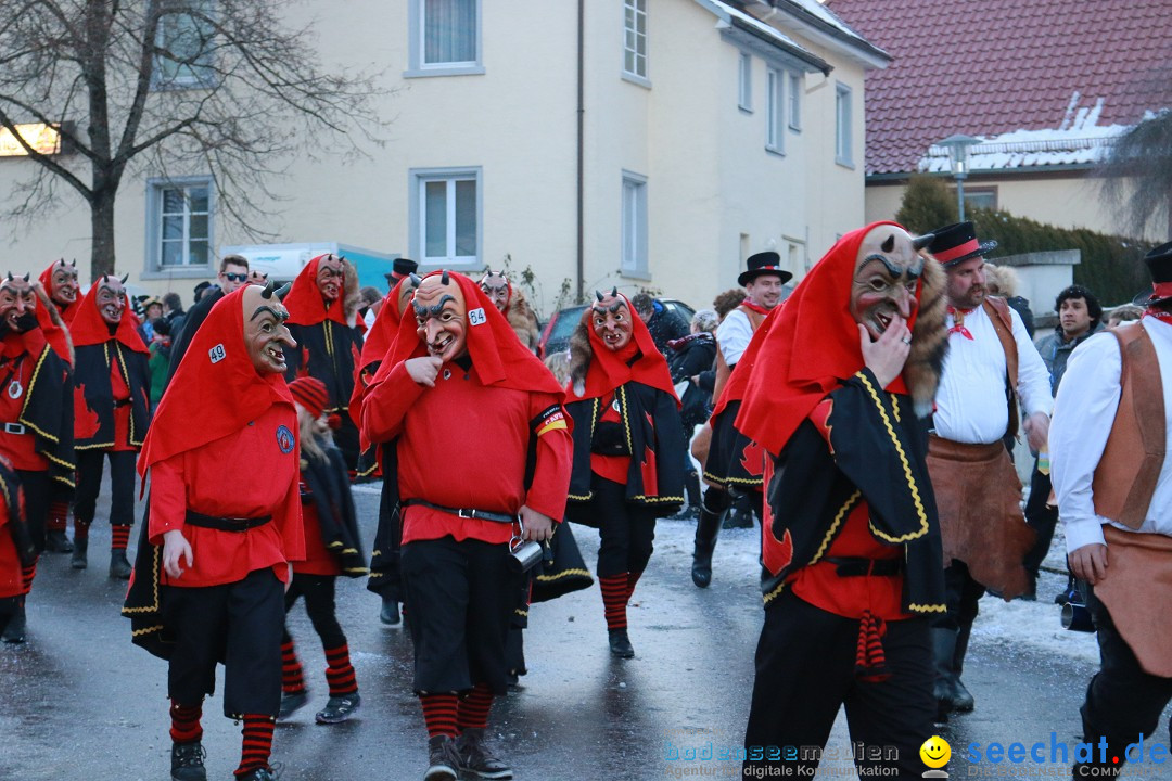 Daemmerungsumzug-Herdwangen-28-01-2017-Bodensee-Community-SEECHAT_de-IMG_1341.JPG