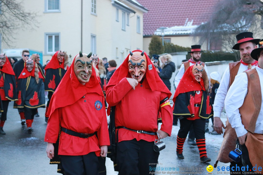 Daemmerungsumzug-Herdwangen-28-01-2017-Bodensee-Community-SEECHAT_de-IMG_1342.JPG