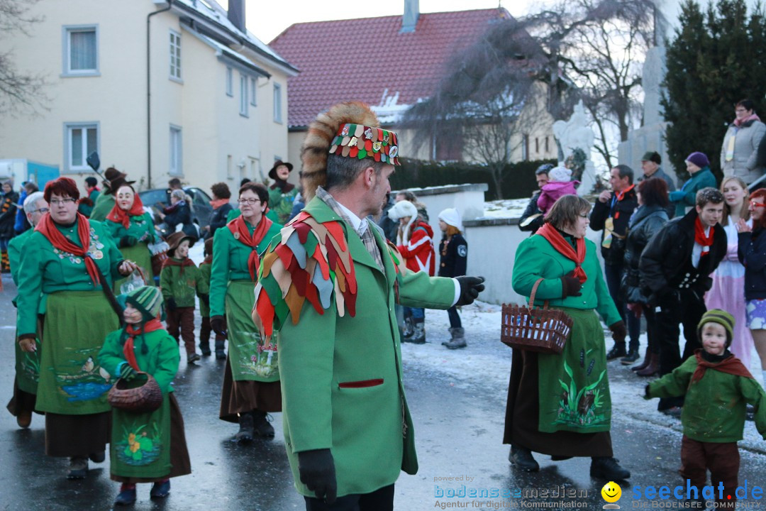 Daemmerungsumzug-Herdwangen-28-01-2017-Bodensee-Community-SEECHAT_de-IMG_1345.JPG