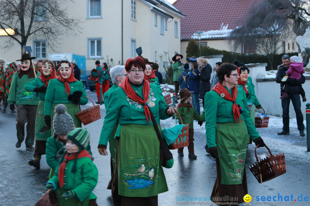 Daemmerungsumzug-Herdwangen-28-01-2017-Bodensee-Community-SEECHAT_de-IMG_1346.JPG