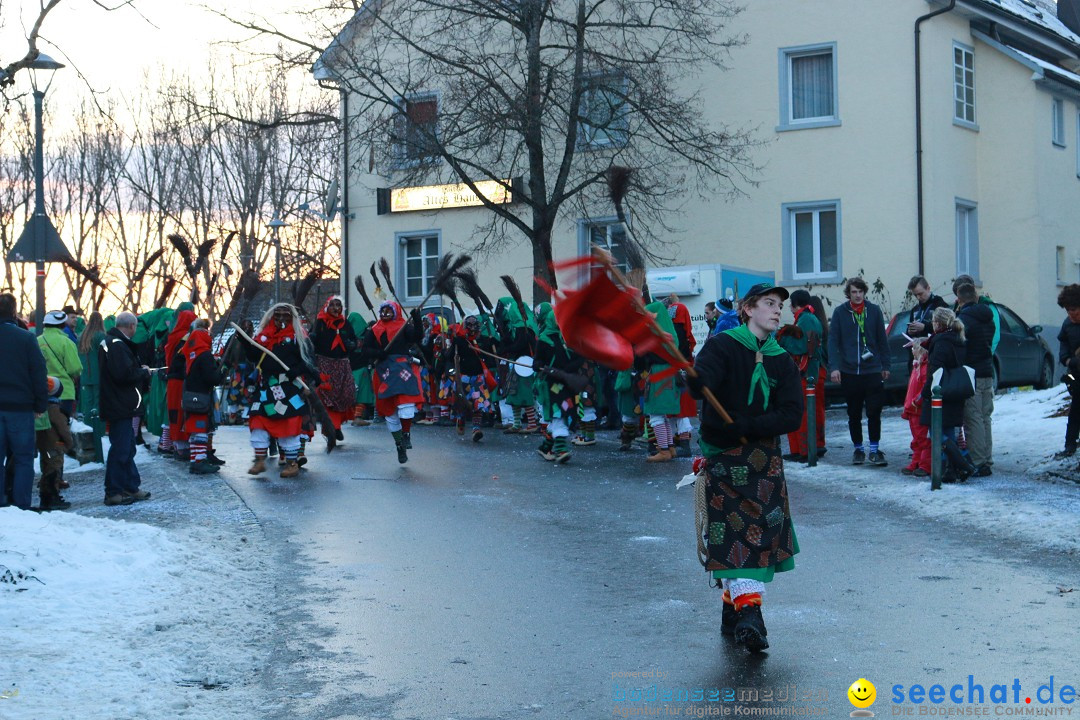 Daemmerungsumzug-Herdwangen-28-01-2017-Bodensee-Community-SEECHAT_de-IMG_1348.JPG