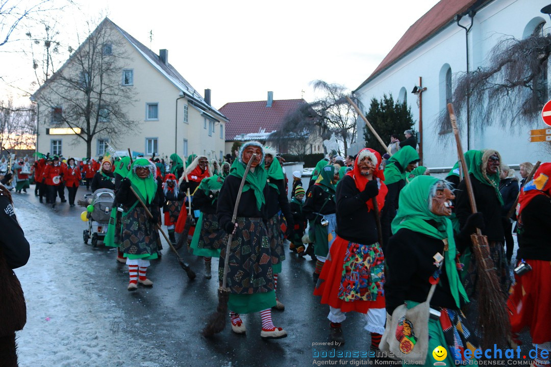 Daemmerungsumzug-Herdwangen-28-01-2017-Bodensee-Community-SEECHAT_de-IMG_1357.JPG