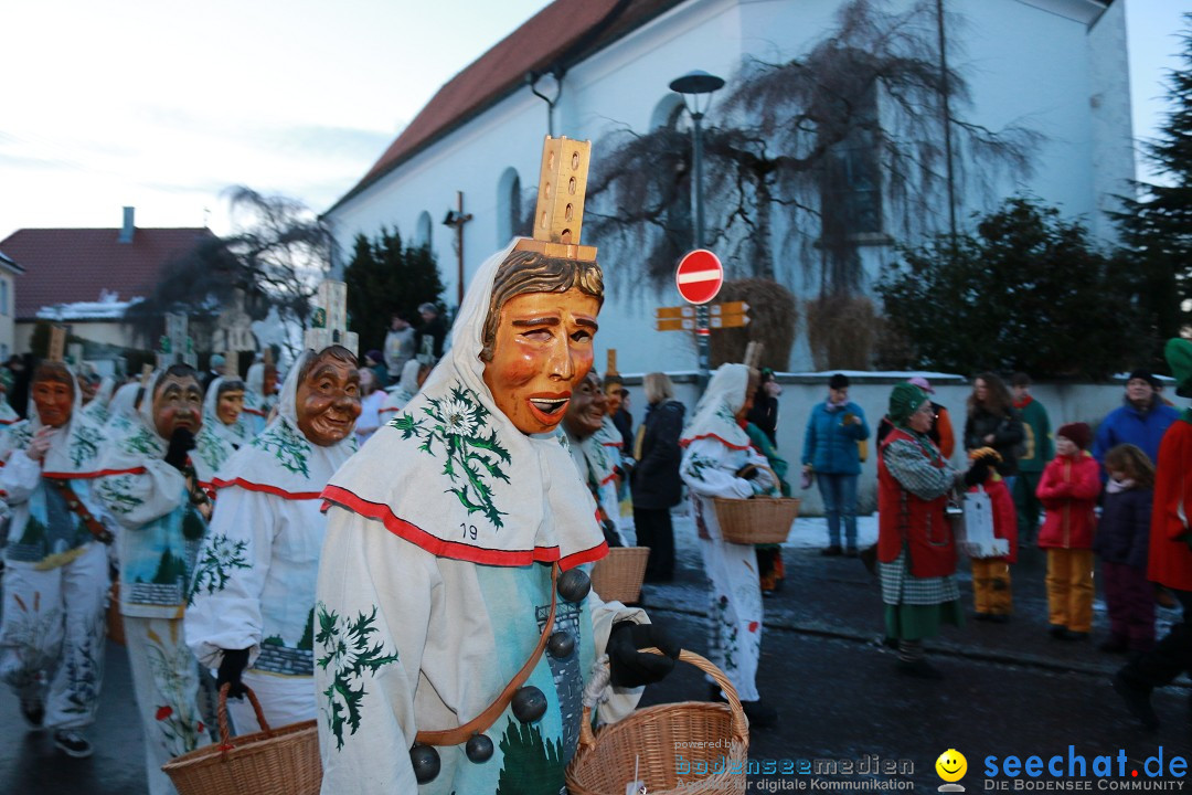 Daemmerungsumzug-Herdwangen-28-01-2017-Bodensee-Community-SEECHAT_de-IMG_1360.JPG