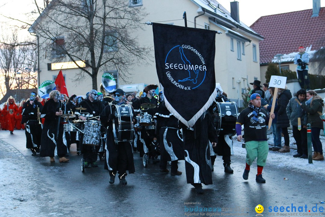 Daemmerungsumzug-Herdwangen-28-01-2017-Bodensee-Community-SEECHAT_de-IMG_1361.JPG