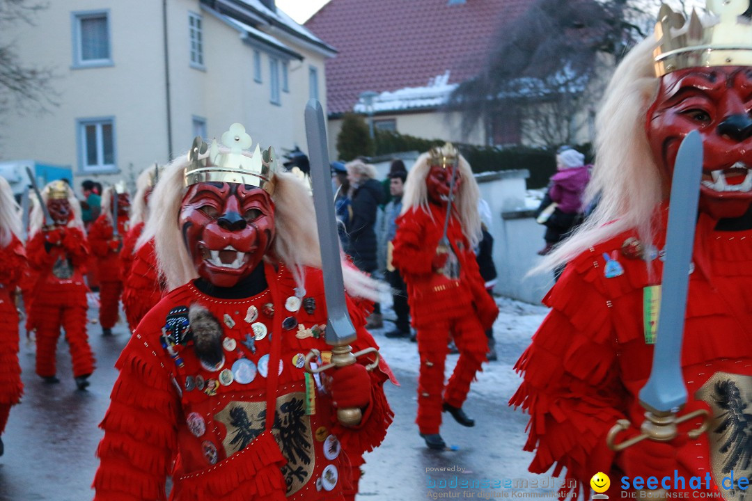 Daemmerungsumzug-Herdwangen-28-01-2017-Bodensee-Community-SEECHAT_de-IMG_1365.JPG