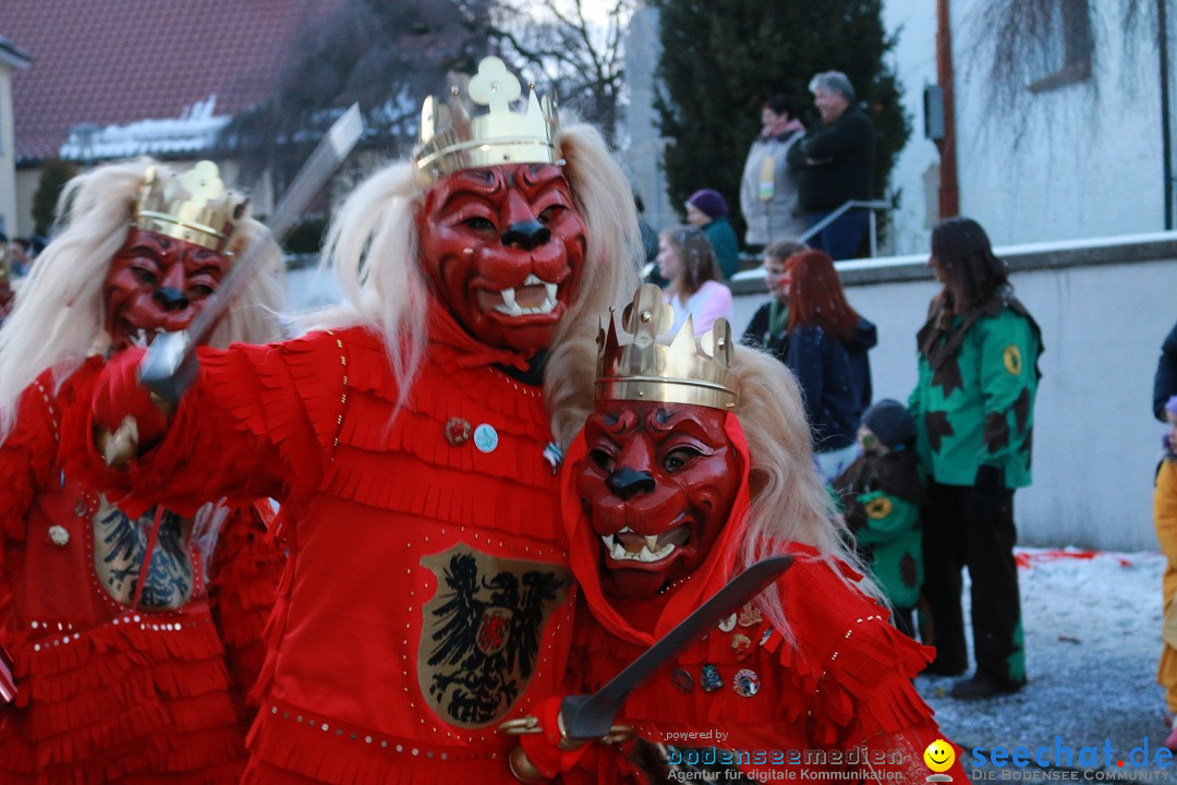 Daemmerungsumzug-Herdwangen-28-01-2017-Bodensee-Community-SEECHAT_de-IMG_1366.JPG