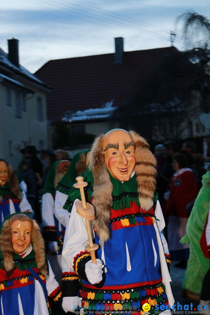 Daemmerungsumzug-Herdwangen-28-01-2017-Bodensee-Community-SEECHAT_de-IMG_1374.JPG