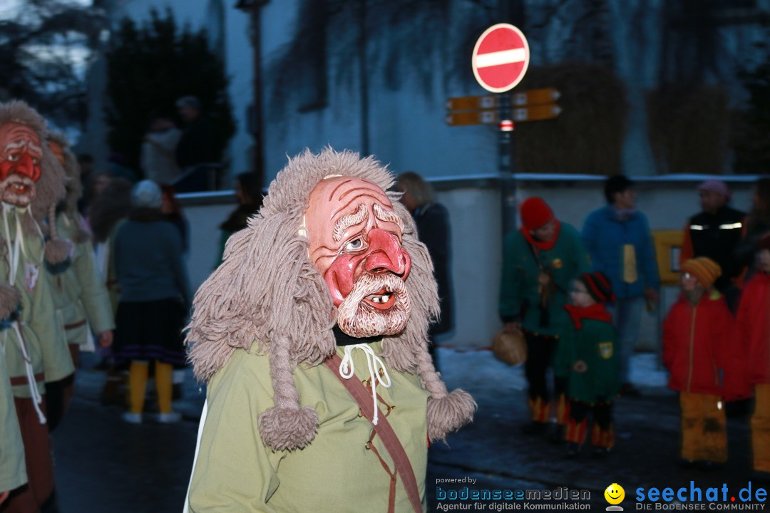 Daemmerungsumzug-Herdwangen-28-01-2017-Bodensee-Community-SEECHAT_de-IMG_1377.JPG