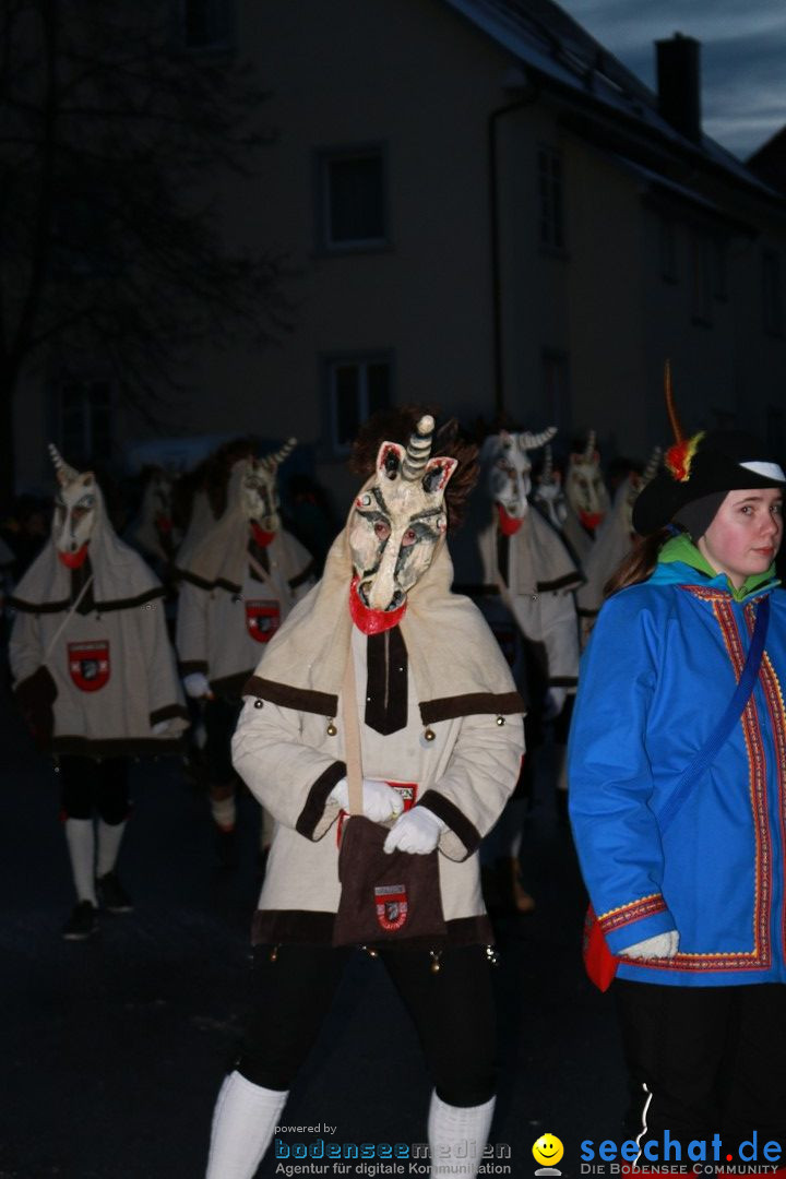 Daemmerungsumzug-Herdwangen-28-01-2017-Bodensee-Community-SEECHAT_de-IMG_1392.JPG