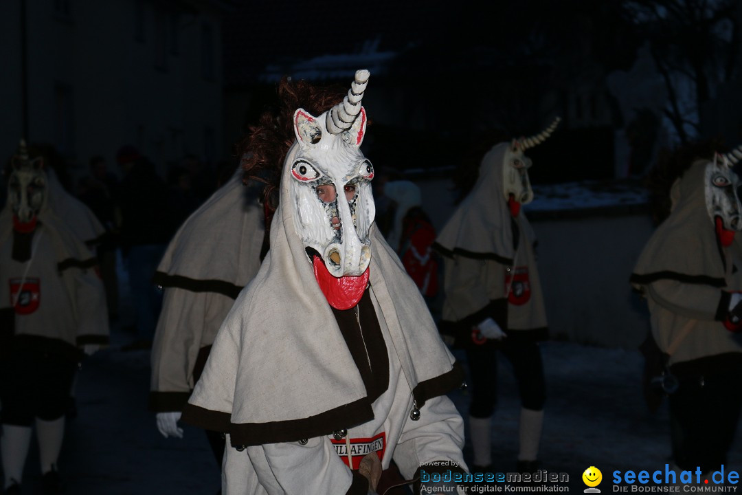 Daemmerungsumzug-Herdwangen-28-01-2017-Bodensee-Community-SEECHAT_de-IMG_1393.JPG