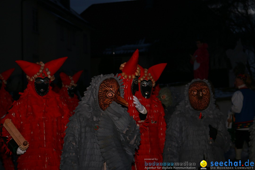 Daemmerungsumzug-Herdwangen-28-01-2017-Bodensee-Community-SEECHAT_de-IMG_1400.JPG