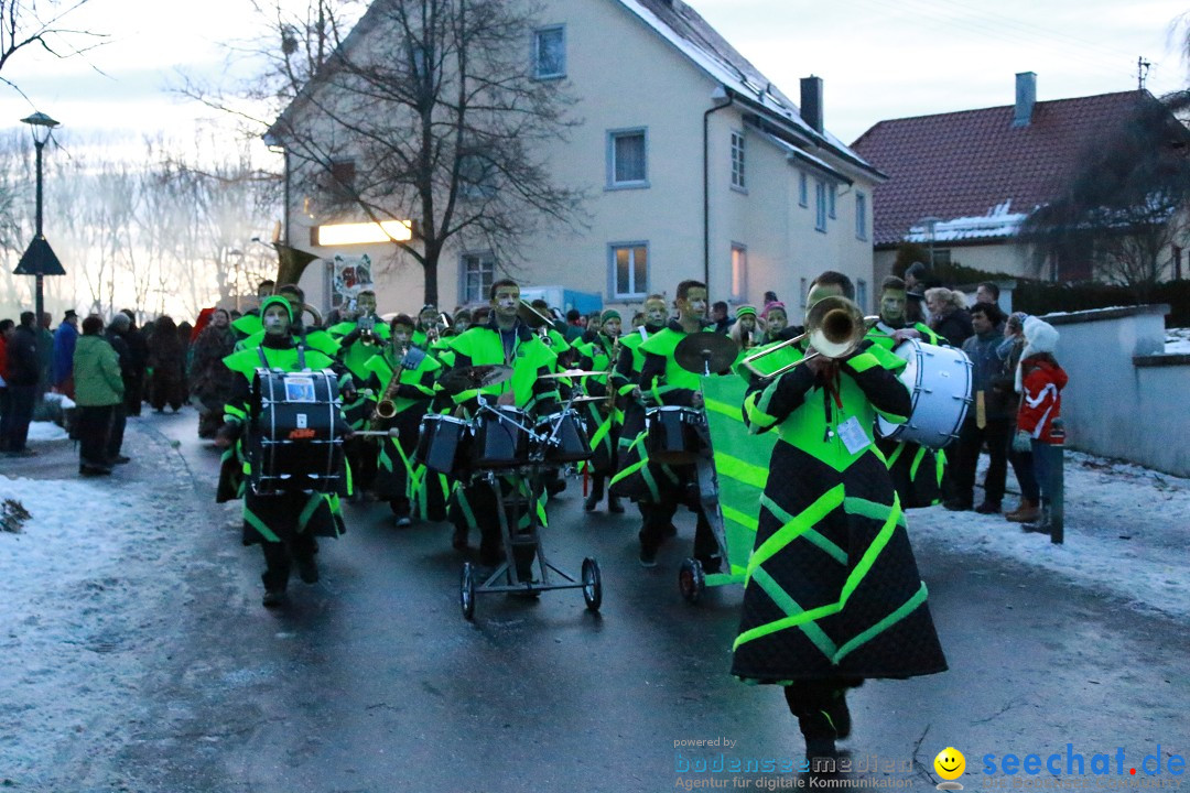 Daemmerungsumzug-Herdwangen-28-01-2017-Bodensee-Community-SEECHAT_de-IMG_1410.JPG