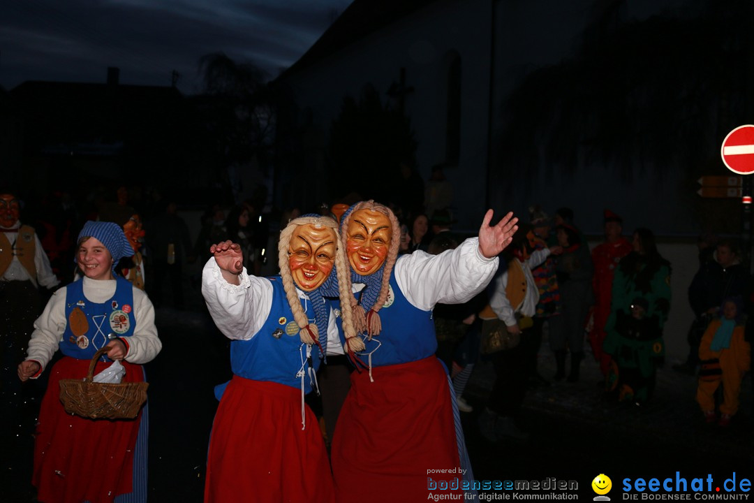 Daemmerungsumzug-Herdwangen-28-01-2017-Bodensee-Community-SEECHAT_de-IMG_1420.JPG