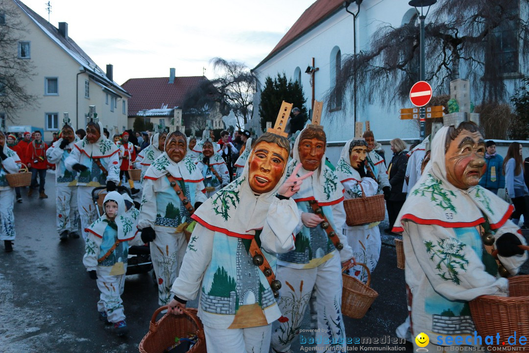 Daemmerungsumzug-Herdwangen-28-01-2017-Bodensee-Community-SEECHAT_de-IMG_4499.JPG