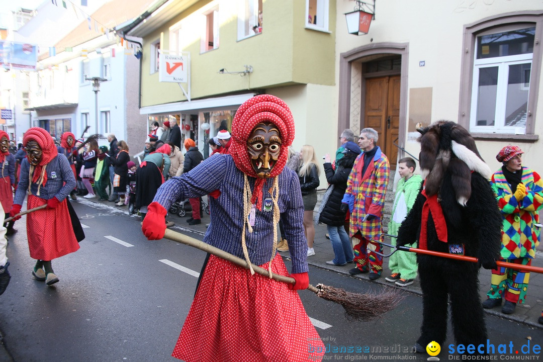 Landschaftstreffen der Fasnachtslandschaft: Markdorf am Bodensee, 29.01.201