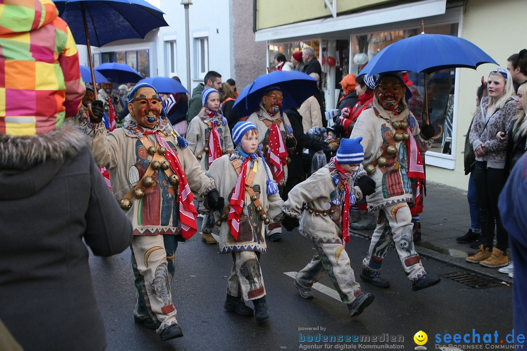 Landschaftstreffen der Fasnachtslandschaft: Markdorf am Bodensee, 29.01.201