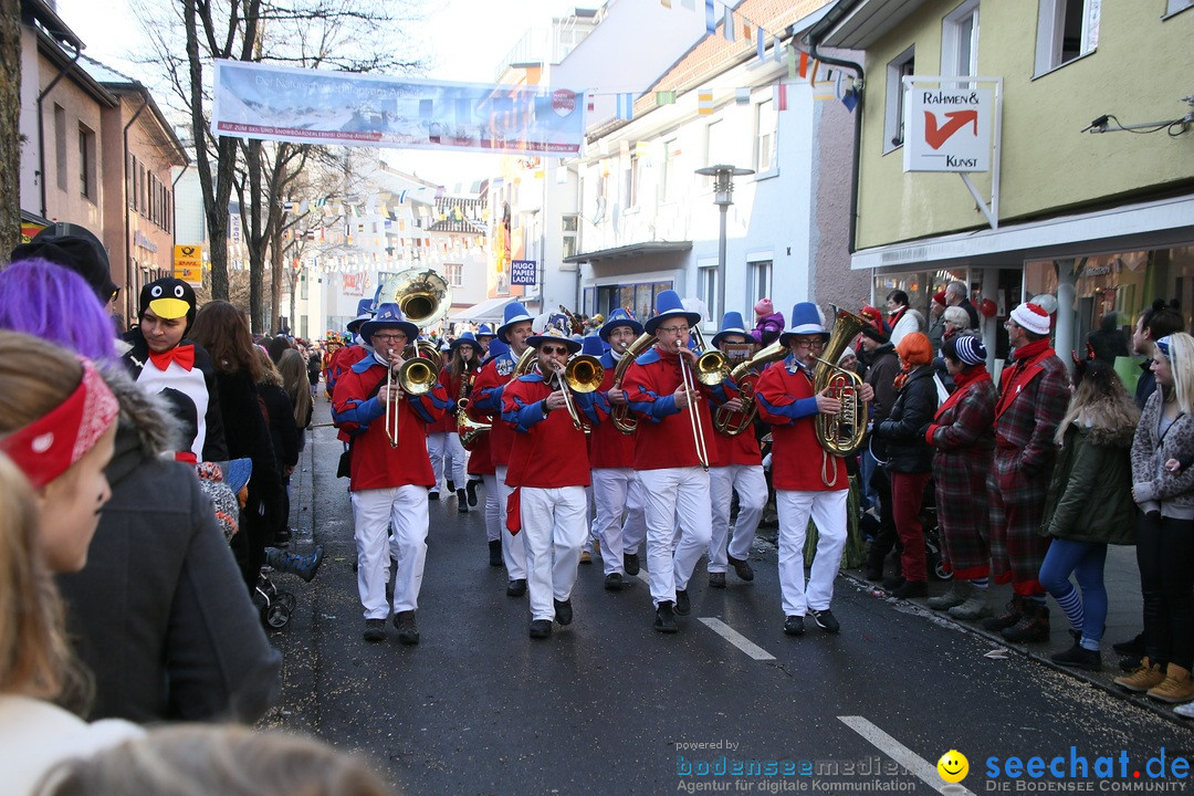 Landschaftstreffen der Fasnachtslandschaft: Markdorf am Bodensee, 29.01.201