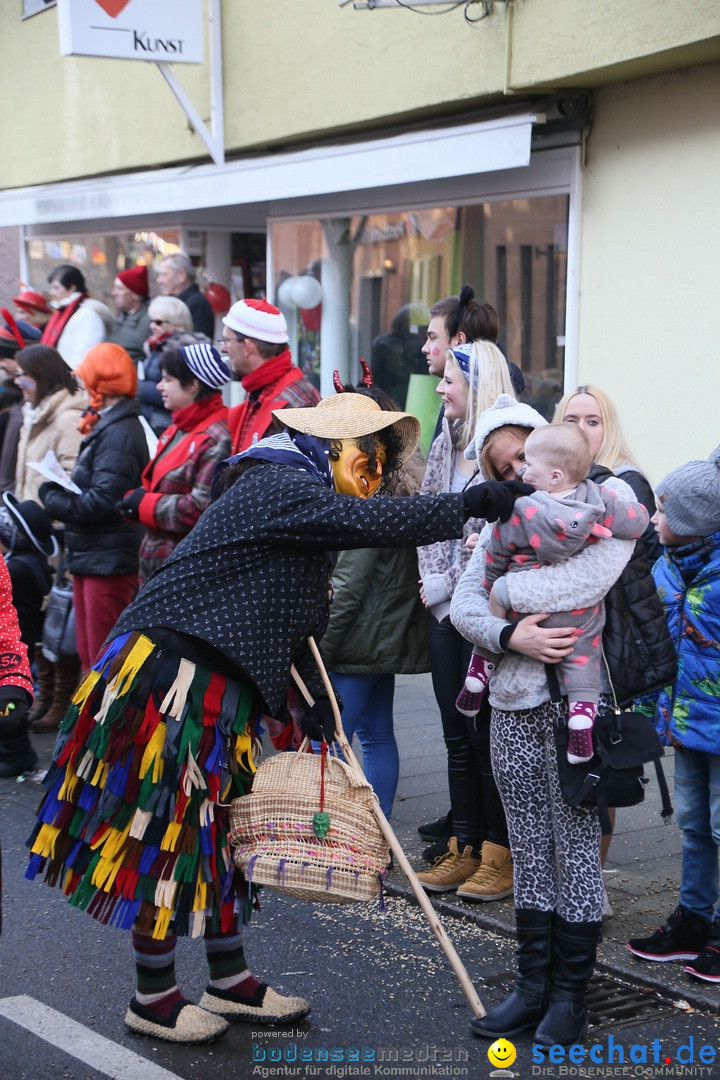 Landschaftstreffen der Fasnachtslandschaft: Markdorf am Bodensee, 29.01.201