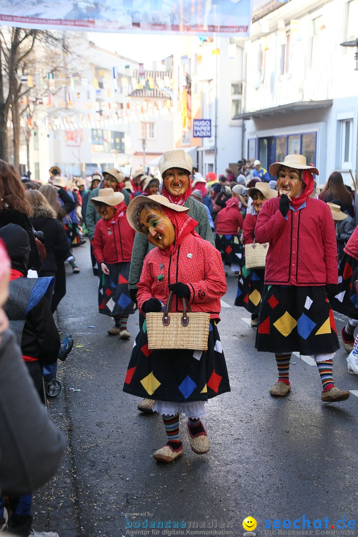 Landschaftstreffen der Fasnachtslandschaft: Markdorf am Bodensee, 29.01.201