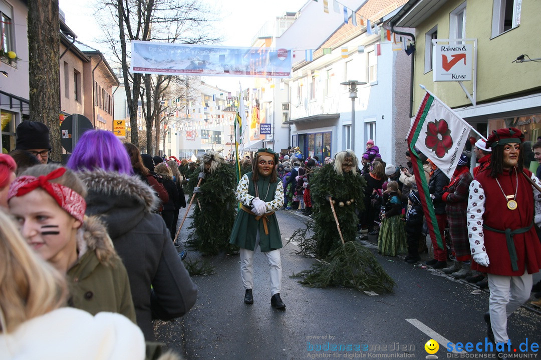 Landschaftstreffen der Fasnachtslandschaft: Markdorf am Bodensee, 29.01.201