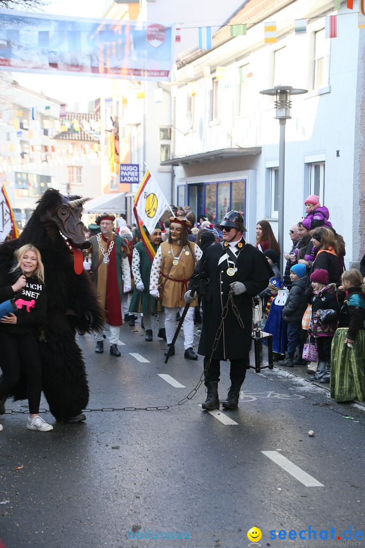 Landschaftstreffen der Fasnachtslandschaft: Markdorf am Bodensee, 29.01.201