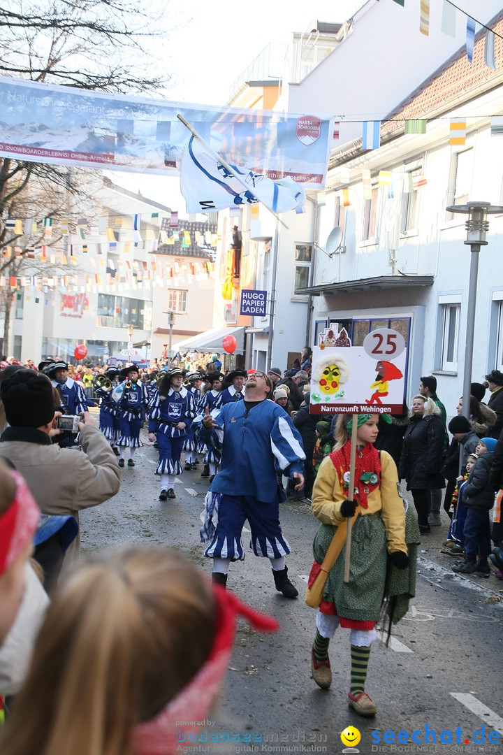 Landschaftstreffen der Fasnachtslandschaft: Markdorf am Bodensee, 29.01.201