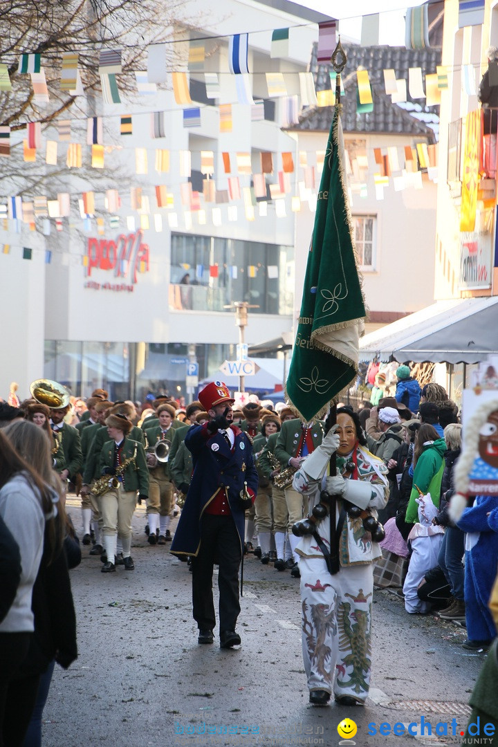 Landschaftstreffen der Fasnachtslandschaft: Markdorf am Bodensee, 29.01.201