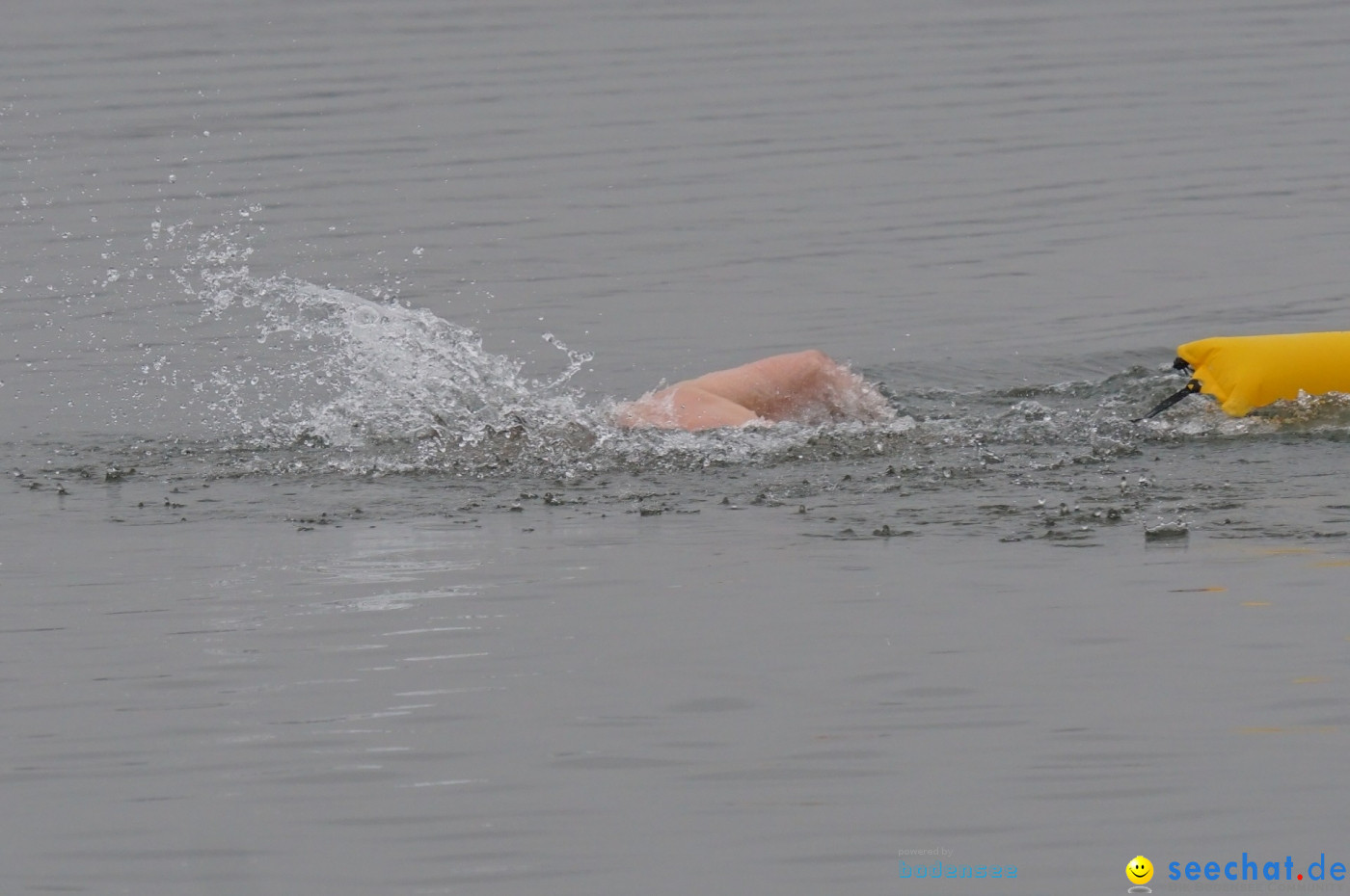 Lake Constance Eisman by Aqua Sphere: Ludwigshafen am Bodensee, 11.02.2017