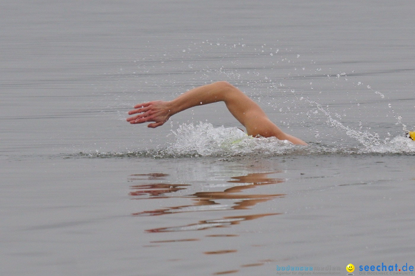 Lake Constance Eisman by Aqua Sphere: Ludwigshafen am Bodensee, 11.02.2017