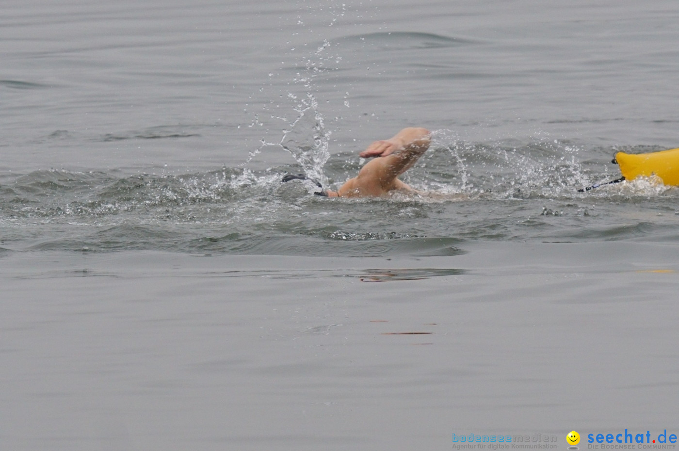 Lake Constance Eisman by Aqua Sphere: Ludwigshafen am Bodensee, 11.02.2017