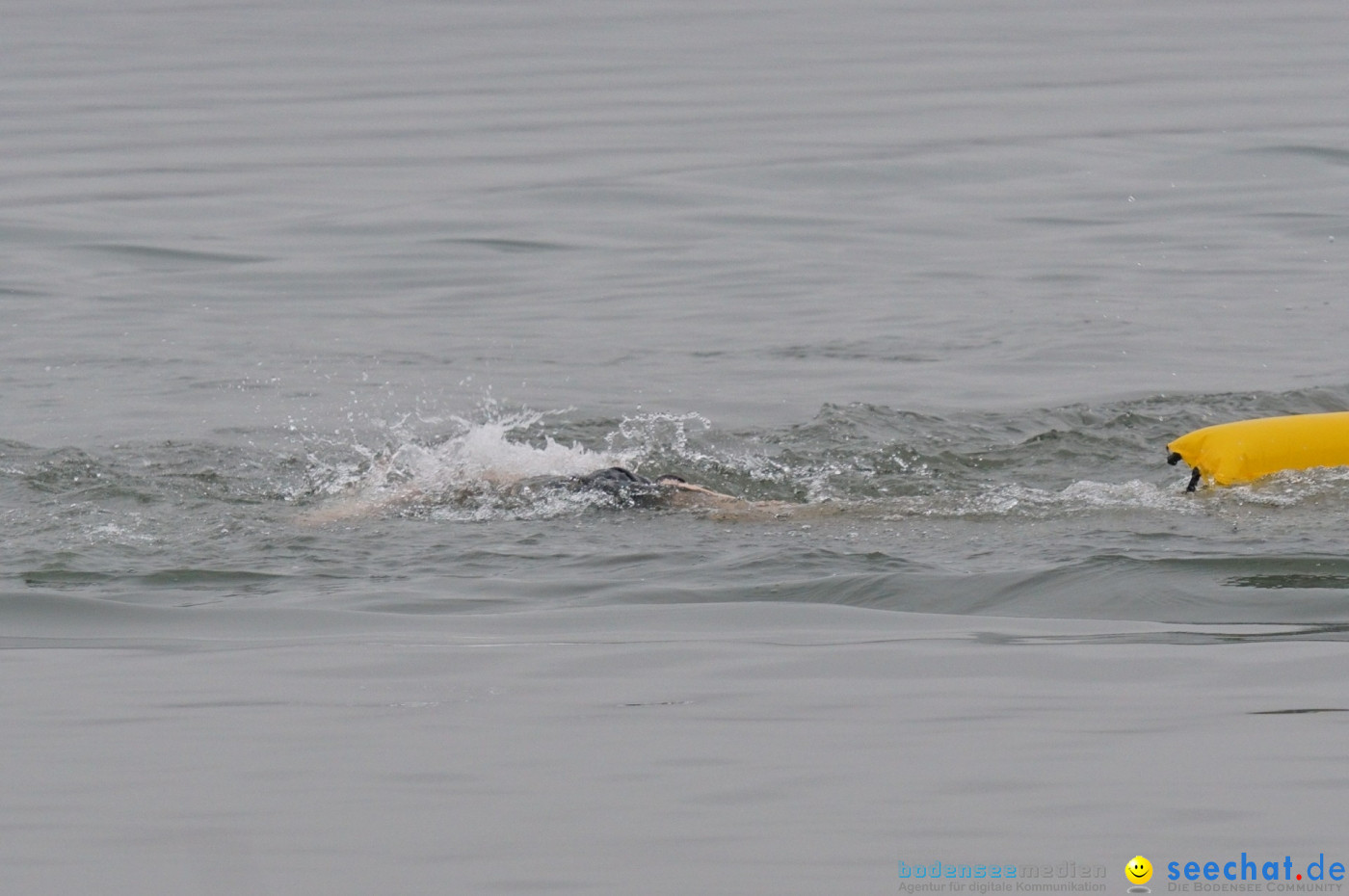 Lake Constance Eisman by Aqua Sphere: Ludwigshafen am Bodensee, 11.02.2017