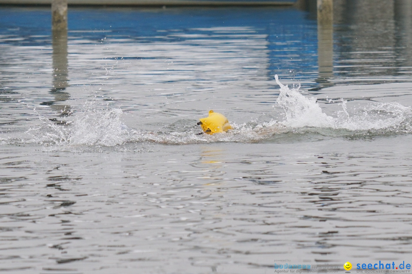 Lake Constance Eisman by Aqua Sphere: Ludwigshafen am Bodensee, 11.02.2017