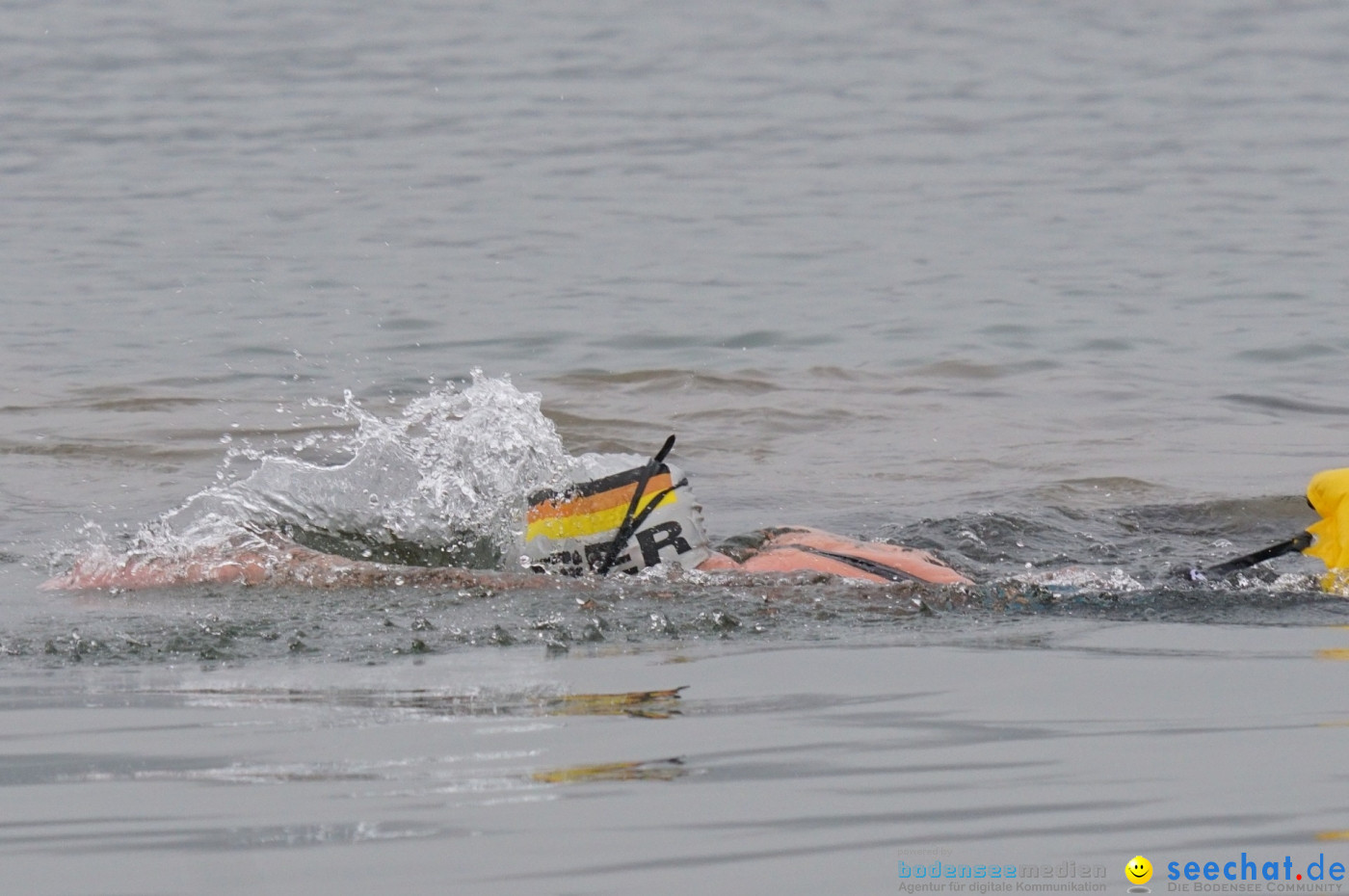 Lake Constance Eisman by Aqua Sphere: Ludwigshafen am Bodensee, 11.02.2017