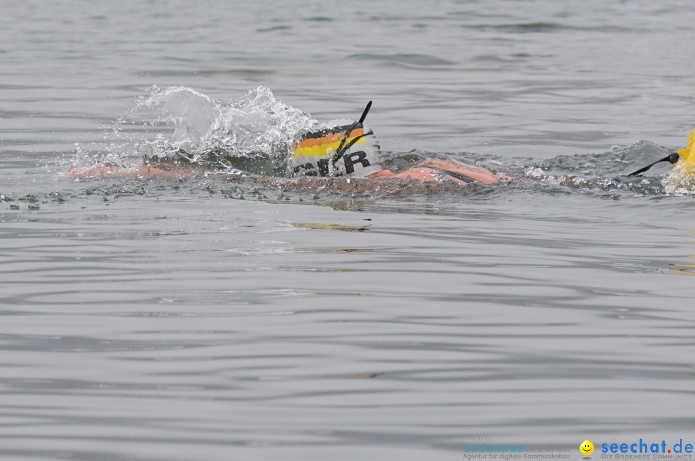 Lake Constance Eisman by Aqua Sphere: Ludwigshafen am Bodensee, 11.02.2017