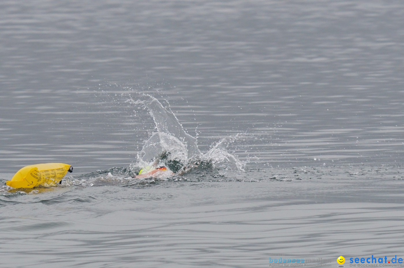 Lake Constance Eisman by Aqua Sphere: Ludwigshafen am Bodensee, 11.02.2017