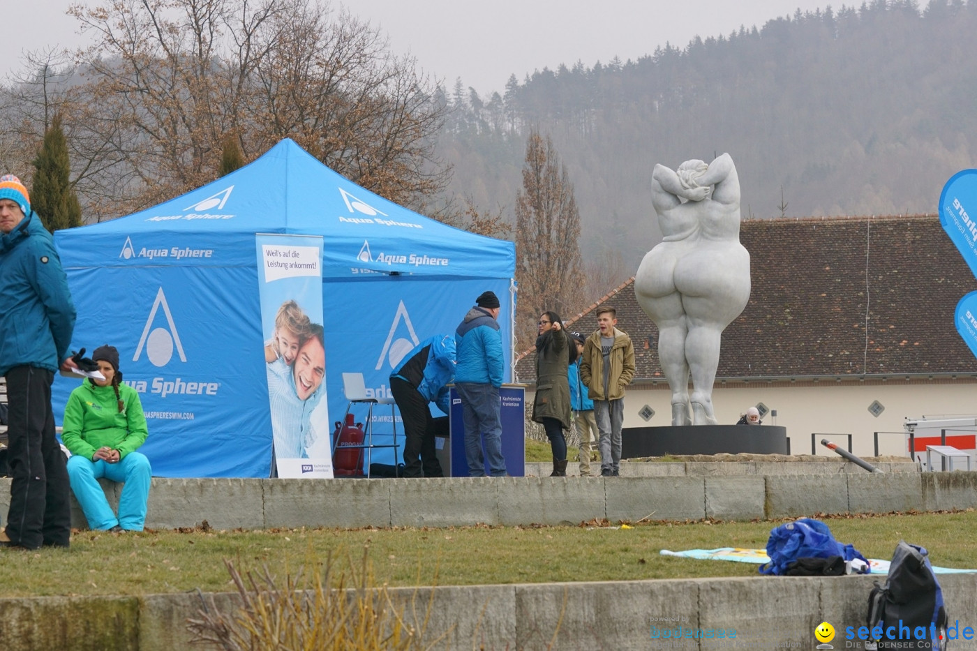 Lake Constance Eisman by Aqua Sphere: Ludwigshafen am Bodensee, 11.02.2017