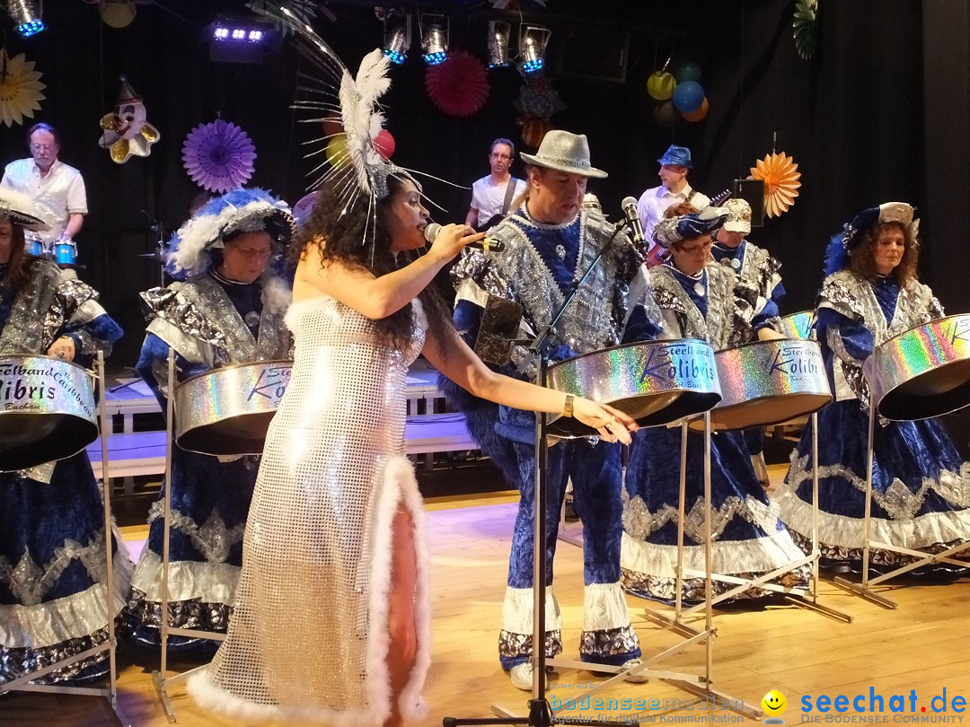 Bandscheibenball 2017: Bad Buchau am Bodensee, 17.02.2017