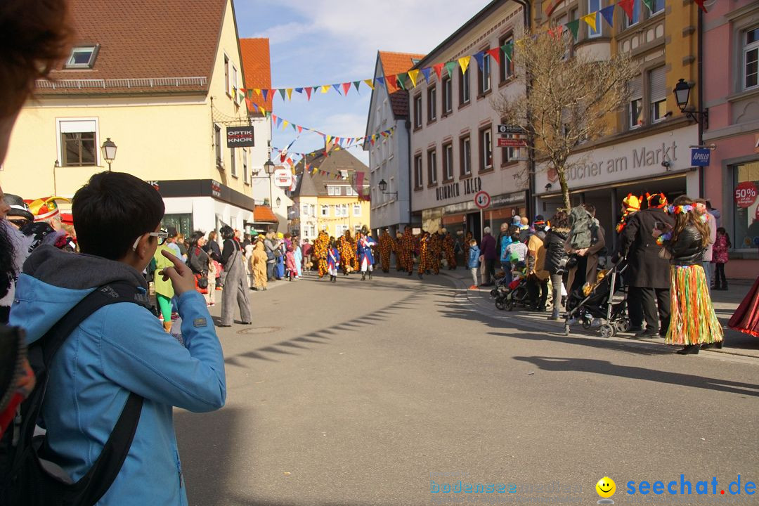 Narrenbaumstellen: Stockach am Bodensee, 23.02.2017