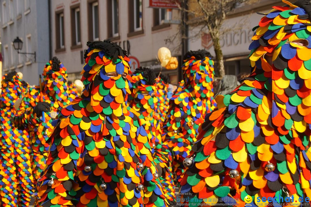 Narrenbaumstellen: Stockach am Bodensee, 23.02.2017