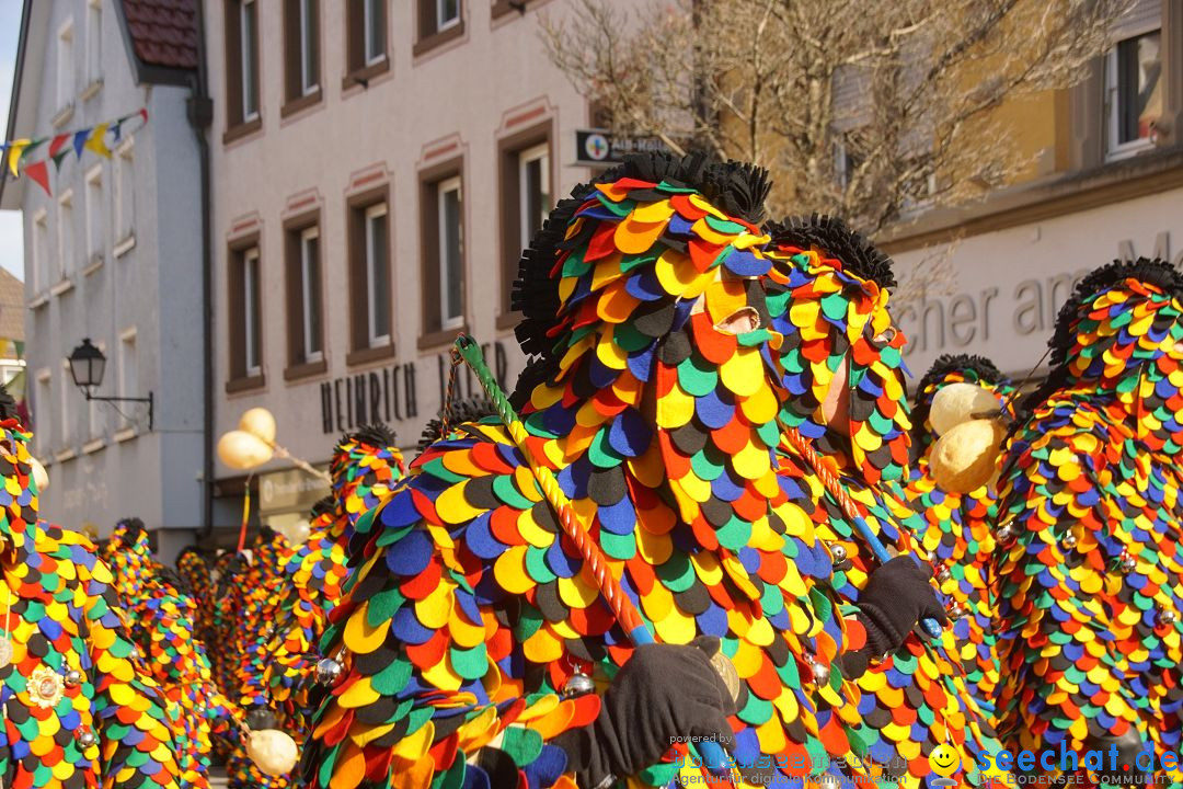 Narrenbaumstellen: Stockach am Bodensee, 23.02.2017