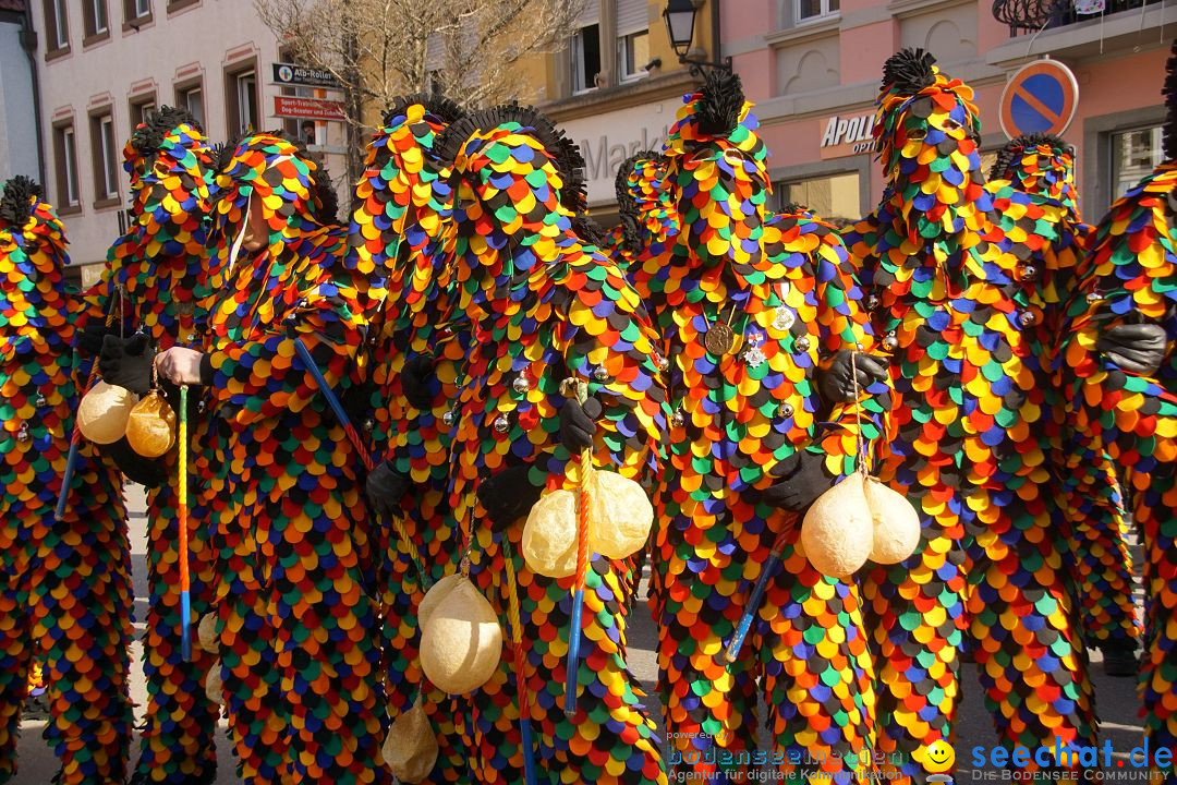 Narrenbaumstellen: Stockach am Bodensee, 23.02.2017