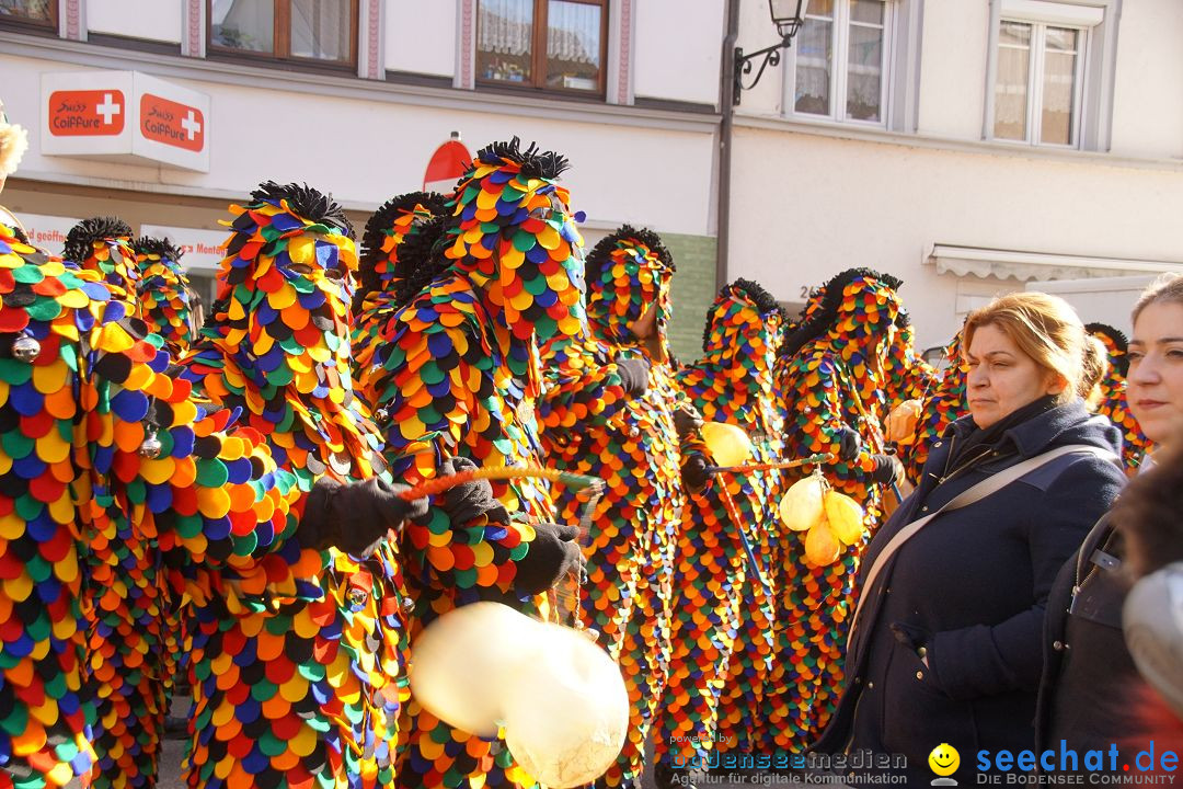 Narrenbaumstellen: Stockach am Bodensee, 23.02.2017