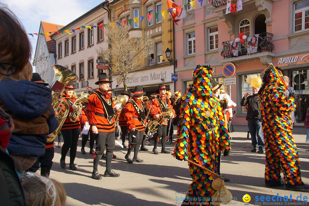 Narrenbaumstellen: Stockach am Bodensee, 23.02.2017