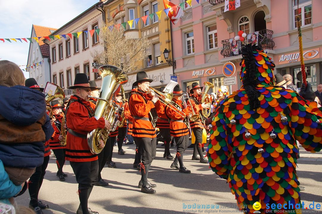 Narrenbaumstellen: Stockach am Bodensee, 23.02.2017