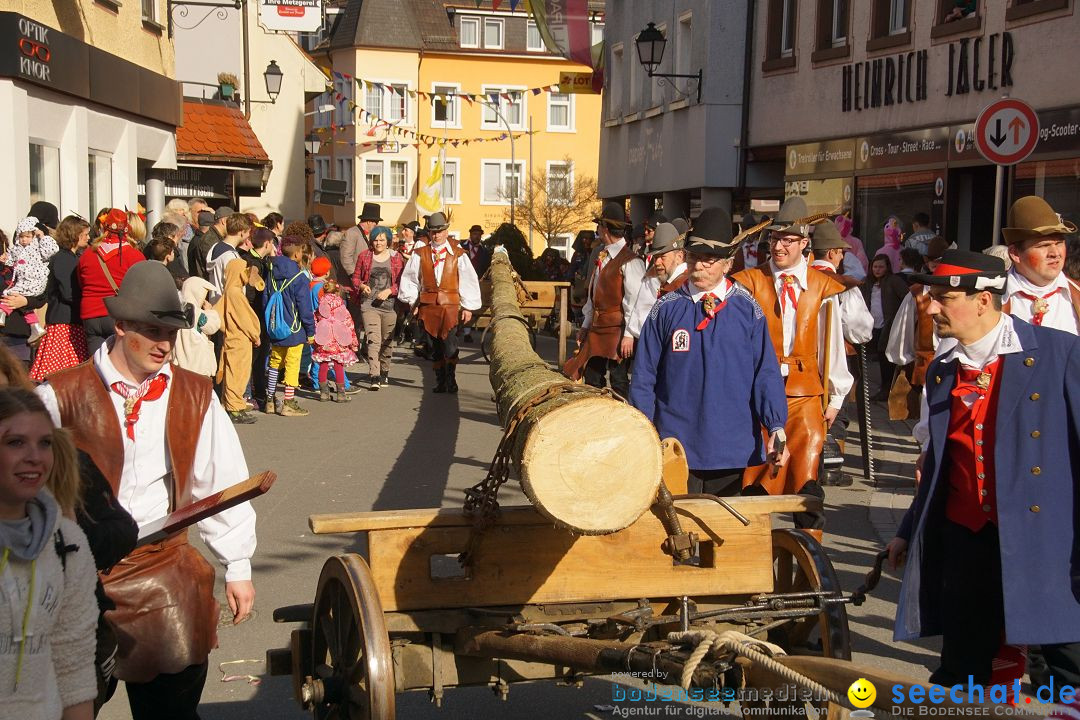 Narrenbaumstellen: Stockach am Bodensee, 23.02.2017