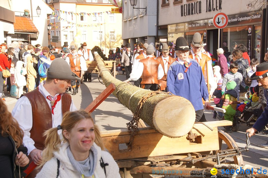 Narrenbaumstellen: Stockach am Bodensee, 23.02.2017