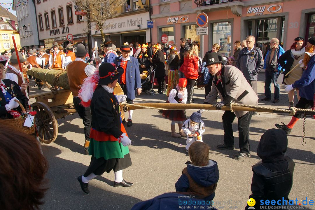 Narrenbaumstellen: Stockach am Bodensee, 23.02.2017