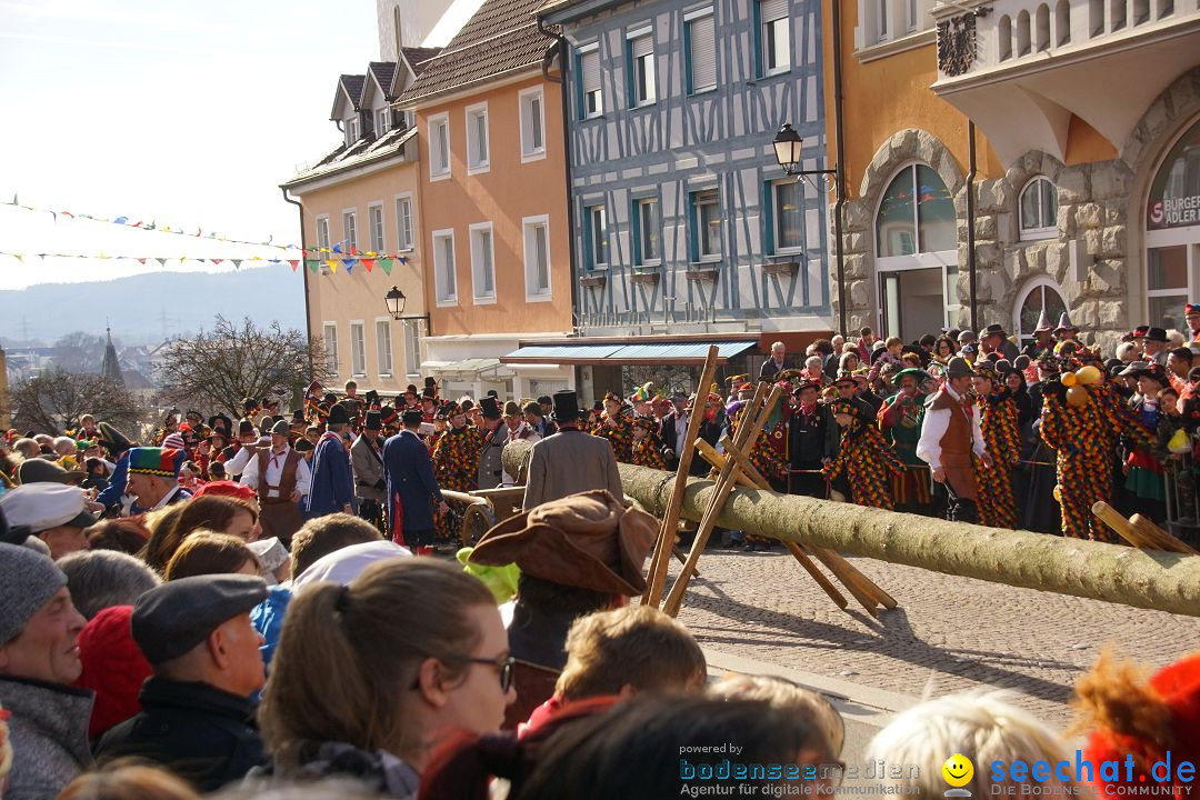 Narrenbaumstellen: Stockach am Bodensee, 23.02.2017