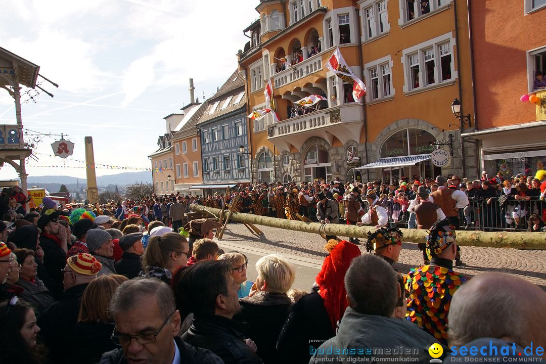 Narrenbaumstellen: Stockach am Bodensee, 23.02.2017