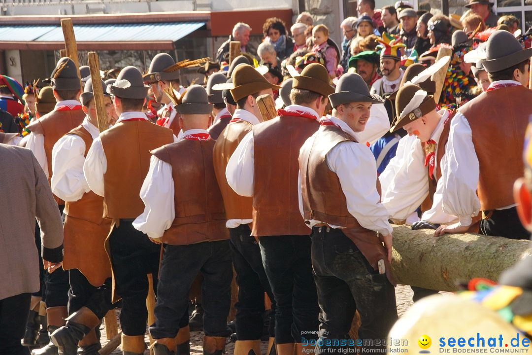 Narrenbaumstellen: Stockach am Bodensee, 23.02.2017